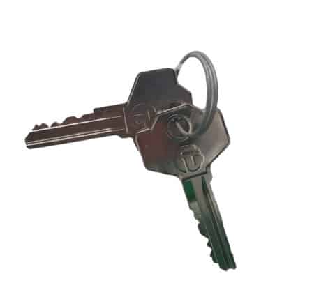 PolliCube Keys (x2)