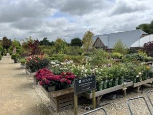 Nicholsons Nurseries premises