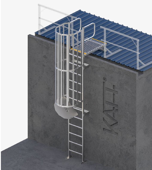 Access Ladder with Hoops & Walkthrough – for 2.5m High Tanks